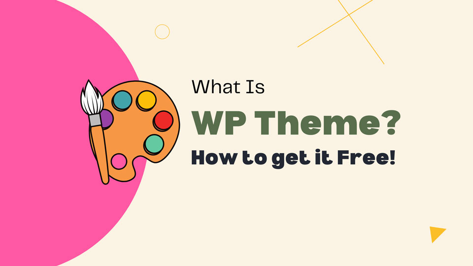 What is WordPress theme? Where to find the best premium theme for WordPress?